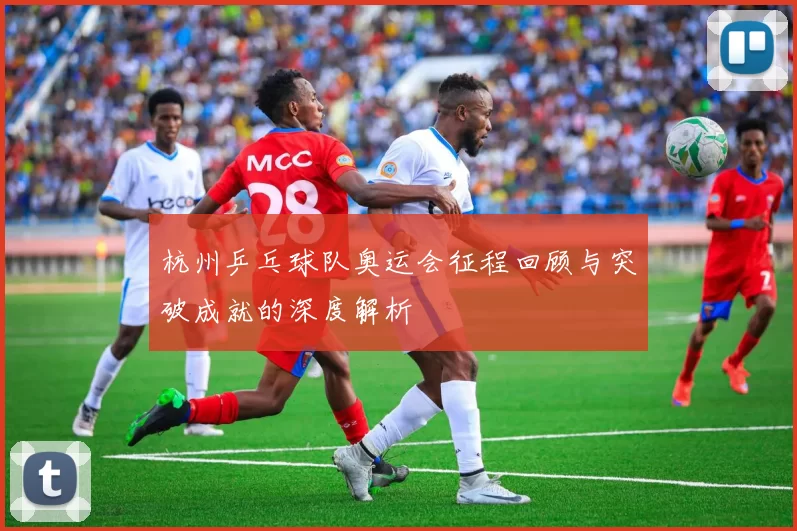 杭州乒乓球队奥运会征程回顾与突破成就的深度解析