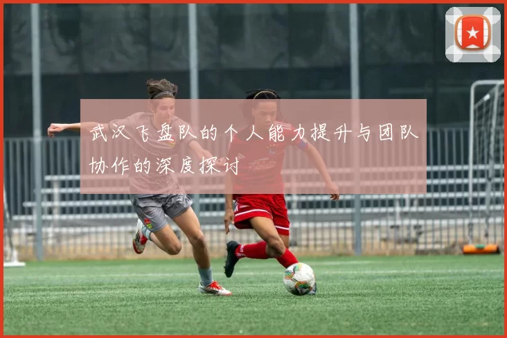 武汉飞盘队的个人能力提升与团队协作的深度探讨