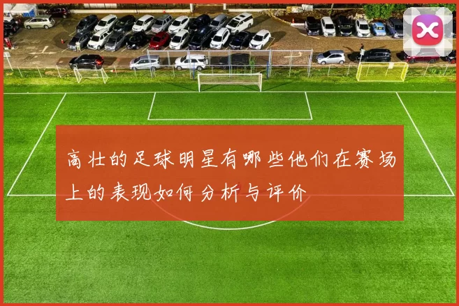 高壮的足球明星有哪些他们在赛场上的表现如何分析与评价