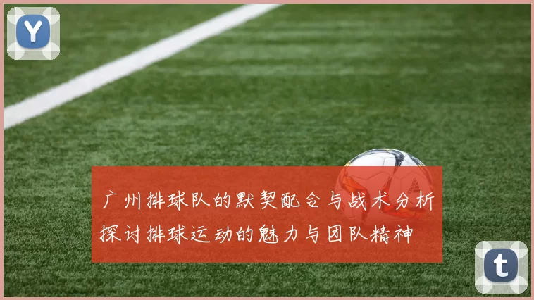 广州排球队的默契配合与战术分析探讨排球运动的魅力与团队精神