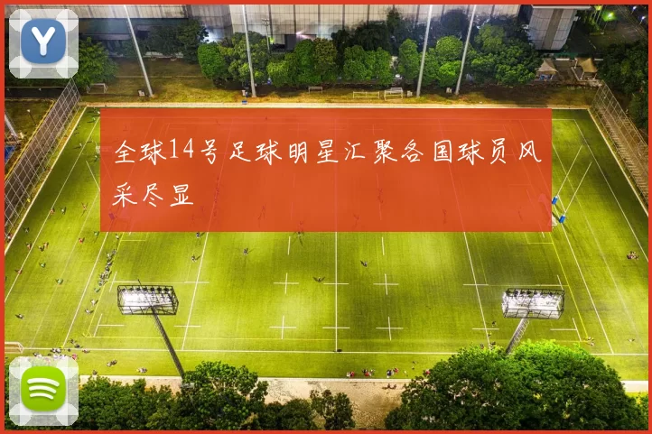 全球14号足球明星汇聚各国球员风采尽显