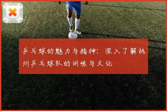 乒乓球的魅力与精神：深入了解杭州乒乓球队的训练与文化