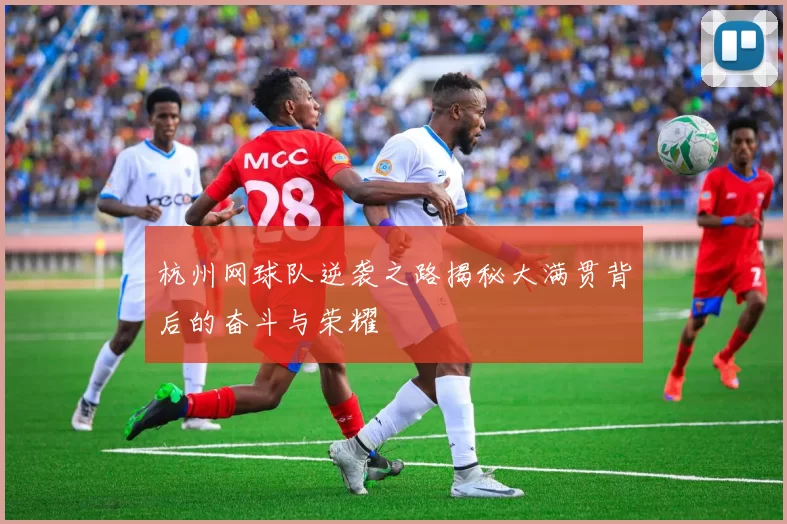 杭州网球队逆袭之路揭秘大满贯背后的奋斗与荣耀