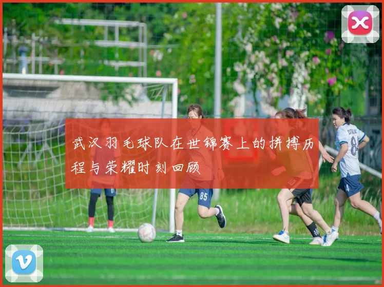 武汉羽毛球队在世锦赛上的拼搏历程与荣耀时刻回顾