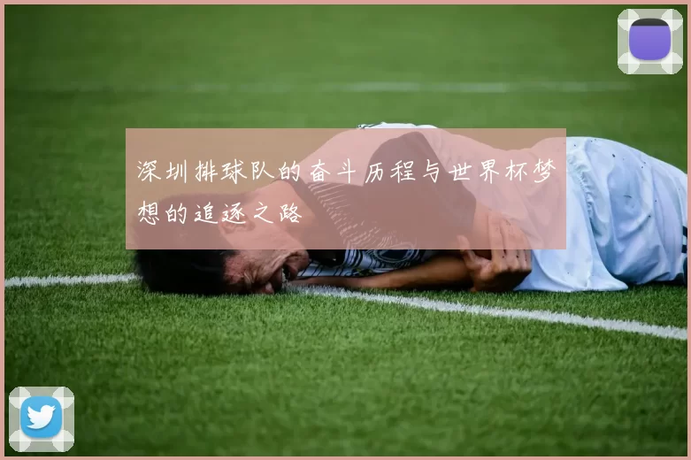 深圳排球队的奋斗历程与世界杯梦想的追逐之路