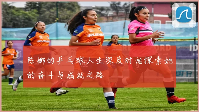 陈娜的乒乓球人生深度对话探索她的奋斗与成就之路