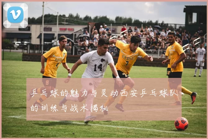 乒乓球的魅力与灵动西安乒乓球队的训练与战术揭秘
