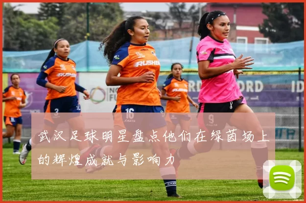 武汉足球明星盘点他们在绿茵场上的辉煌成就与影响力