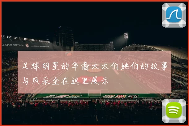 足球明星的华裔太太们她们的故事与风采全在这里展示