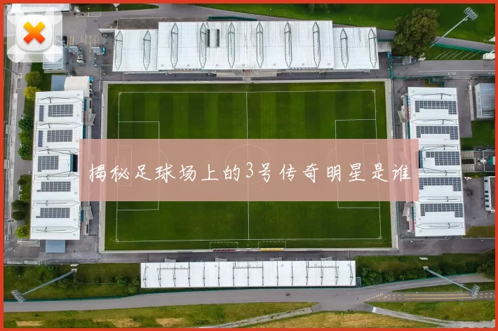 揭秘足球场上的3号传奇明星是谁