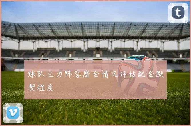 球队主力阵容磨合情况评估配合默契程度