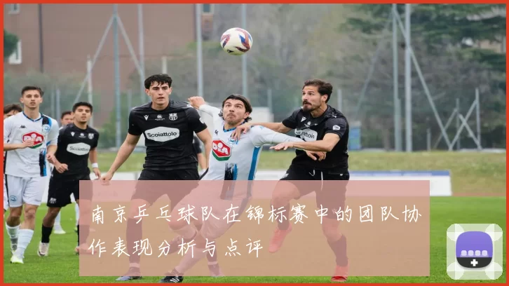 南京乒乓球队在锦标赛中的团队协作表现分析与点评