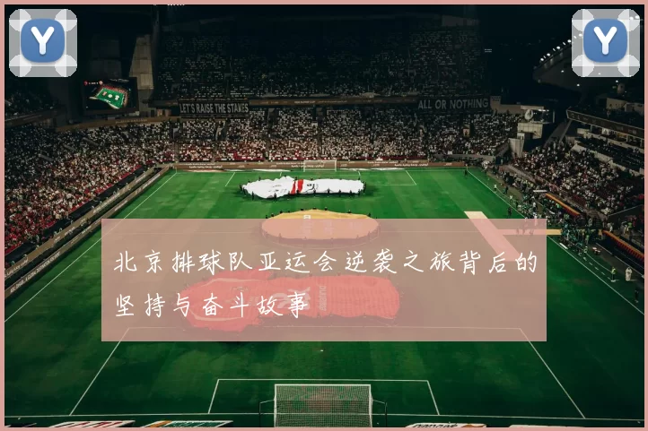 北京排球队亚运会逆袭之旅背后的坚持与奋斗故事