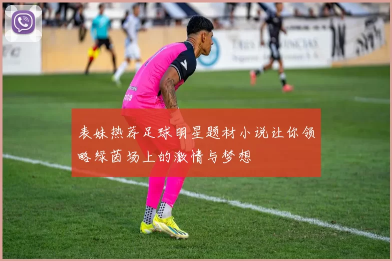 表妹热荐足球明星题材小说让你领略绿茵场上的激情与梦想